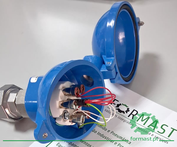 Sonda de Temperatura PT100. Formast