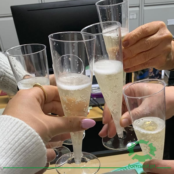 25 Anos de Percurso, Crescimento e Reforço Estrutural. Formast