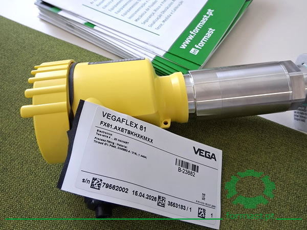 Medidor de Nível por Radar de Onda Guiada VEGAFLEX 81. Formast